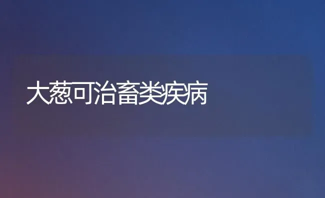 大葱可治畜类疾病 | 家畜养殖