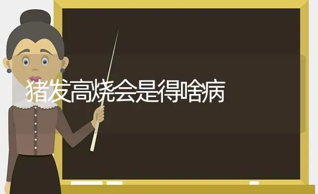 猪发高烧会是得啥病 | 家畜养殖