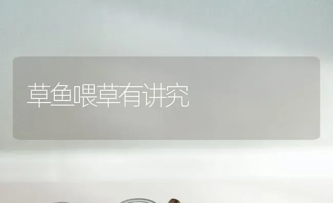 草鱼喂草有讲究 | 淡水养殖