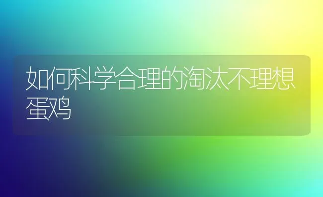 如何科学合理的淘汰不理想蛋鸡 | 家禽养殖