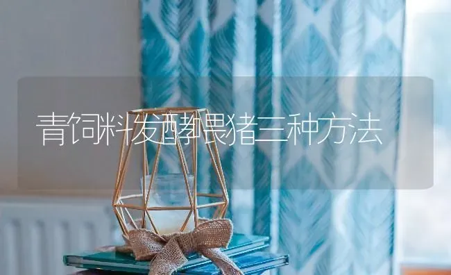 青饲料发酵喂猪三种方法 | 家畜养殖