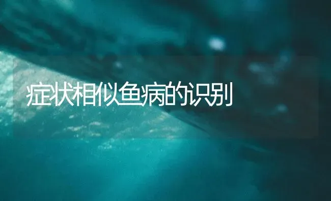 症状相似鱼病的识别 | 养殖病虫害防治