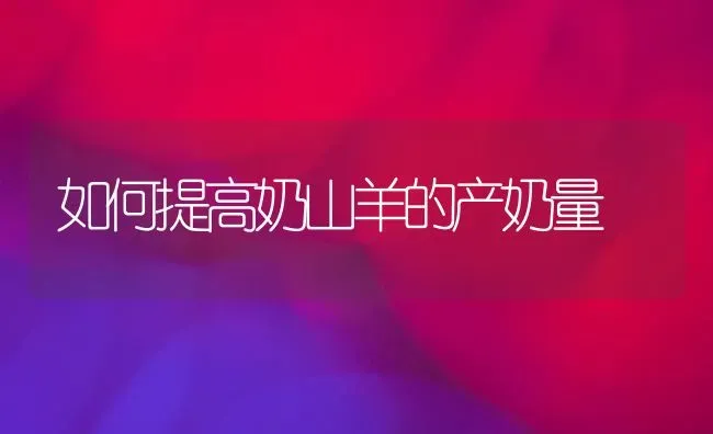 如何提高奶山羊的产奶量 | 家畜养殖