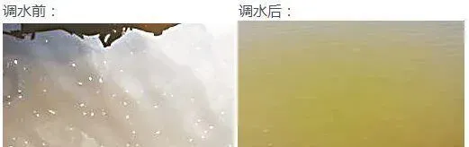 水产养殖户如何做好水体的藻菌调控工作