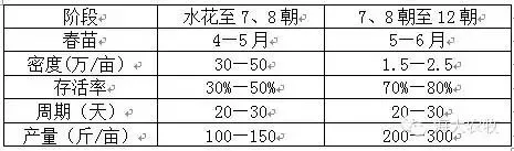 草鱼种朝苗培育现状与技术要点