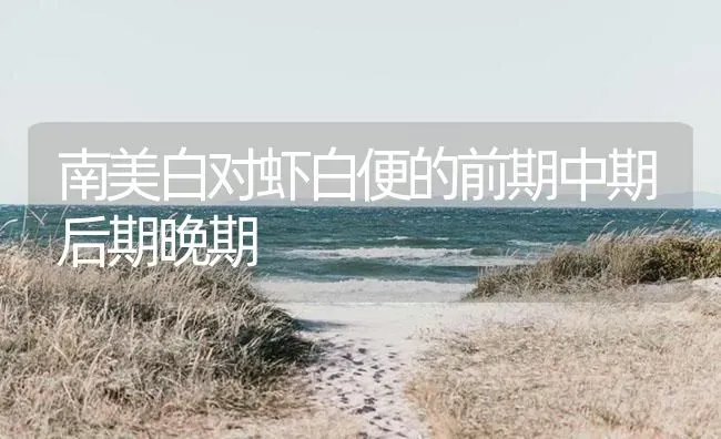 南美白对虾白便的前期中期后期晚期 | 海水养殖