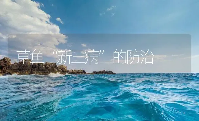 草鱼“新三病”的防治 | 养殖病虫害防治