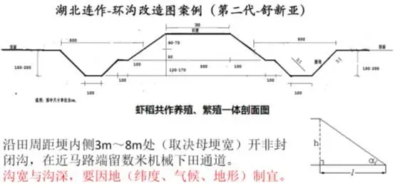 稻虾轮作田间工程的反思：钱要花在机械增氧上，而不是挖沟上！