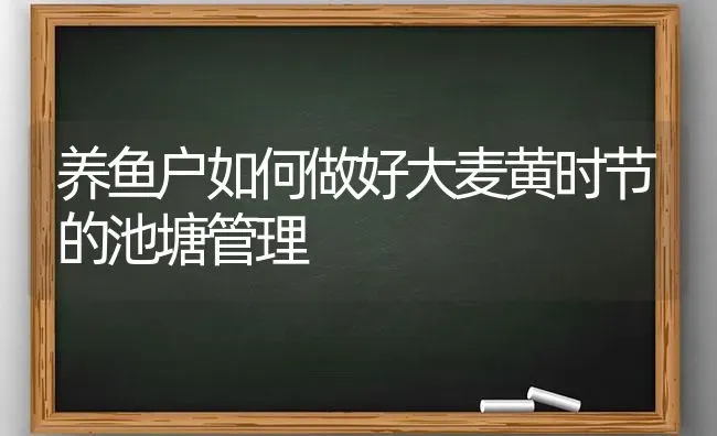 养鱼户如何做好大麦黄时节的池塘管理 | 动物养殖百科