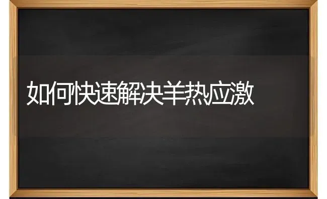 如何快速解决羊热应激 | 家畜养殖