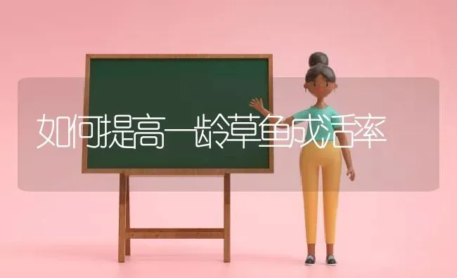 如何提高一龄草鱼成活率 | 淡水养殖