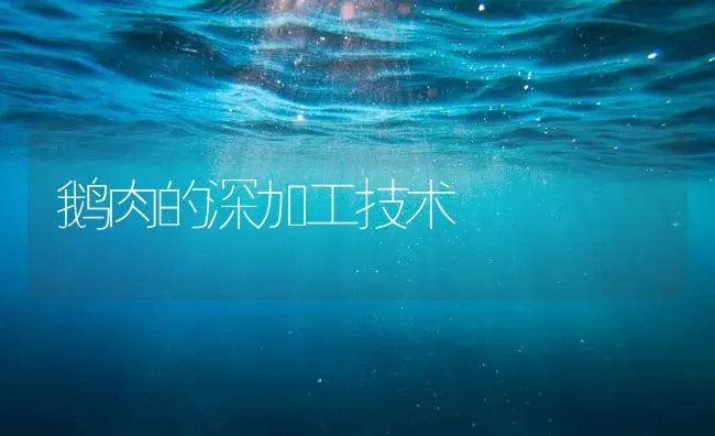 鹅肉的深加工技术 | 家禽养殖