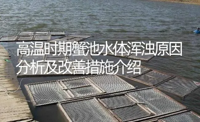 高温时期蟹池水体浑浊原因分析及改善措施介绍 | 淡水养殖