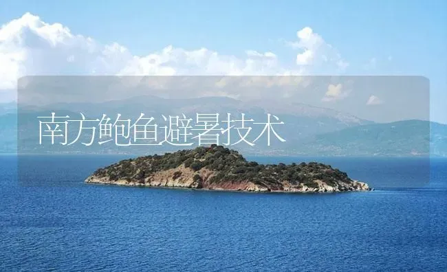 南方鲍鱼避暑技术 | 海水养殖