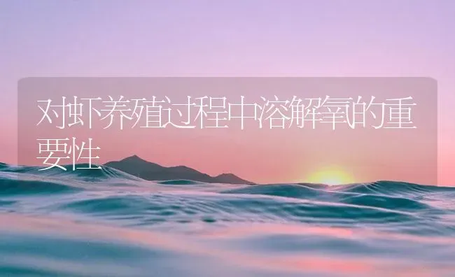 对虾养殖过程中溶解氧的重要性 | 海水养殖