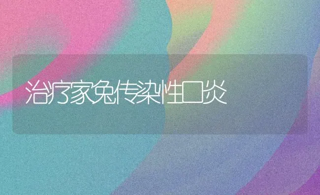 治疗家兔传染性口炎 | 家畜养殖