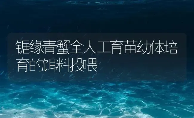 锯缘青蟹全人工育苗幼体培育的饵料投喂 | 海水养殖