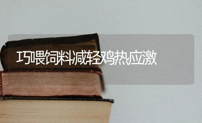 巧喂饲料减轻鸡热应激 | 家禽养殖