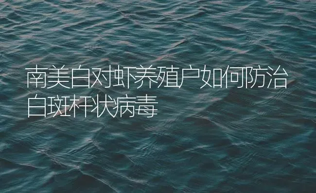 南美白对虾养殖户如何防治白斑杆状病毒 | 海水养殖