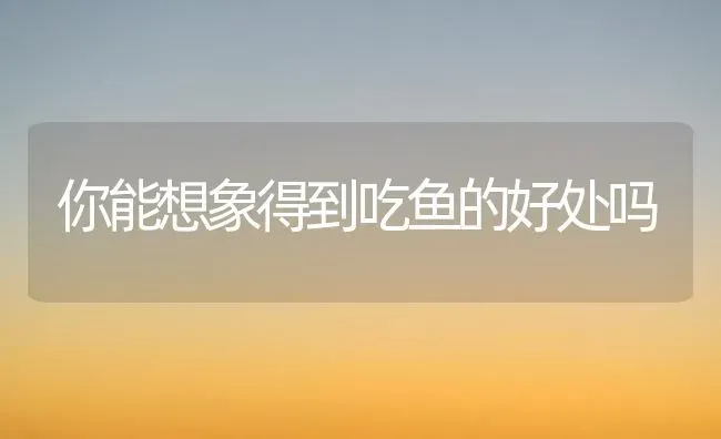 你能想象得到吃鱼的好处吗 | 动物养殖百科