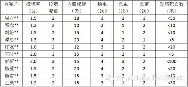 四五月份鮰鱼保苗技术方案—通海口鮰鱼养殖高手访谈