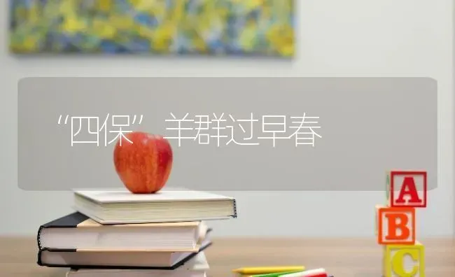 “四保”羊群过早春 | 家畜养殖