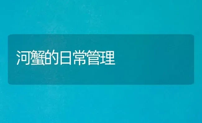 河蟹的日常管理 | 淡水养殖