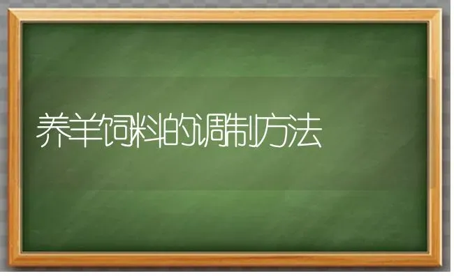 养羊饲料的调制方法 | 家畜养殖