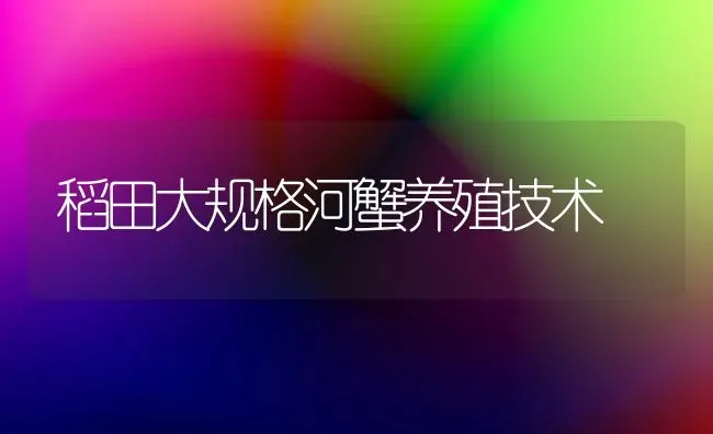 稻田大规格河蟹养殖技术 | 淡水养殖