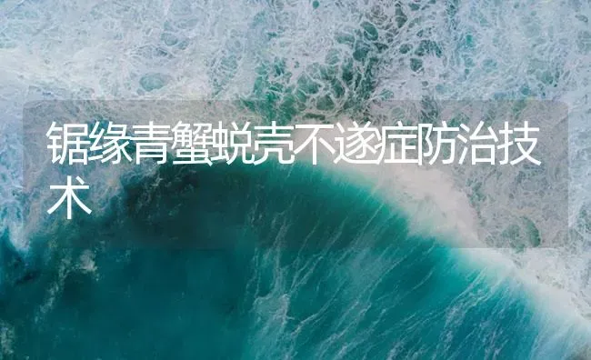 锯缘青蟹蜕壳不遂症防治技术 | 海水养殖