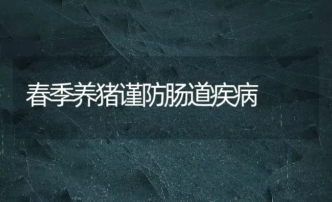 春季养猪谨防肠道疾病 | 家畜养殖