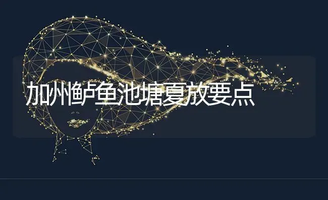 加州鲈鱼池塘夏放要点 | 淡水养殖