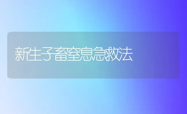 新生子畜窒息急救法 | 家畜养殖