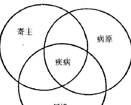 清明过后阴雨天鱼虾养殖塘病害预防方案