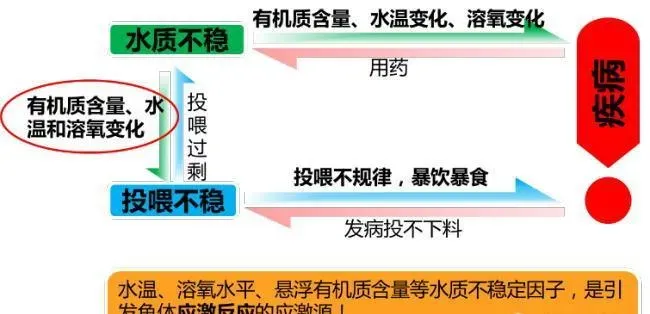 四五月份水产养殖池塘常见六个问题诊断