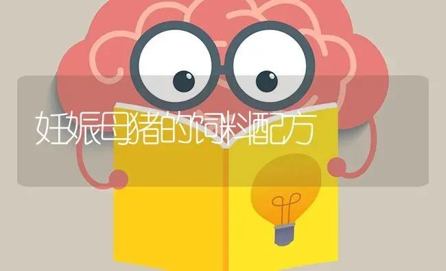 妊娠母猪的饲料配方 | 家畜养殖