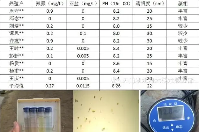 四五月份鮰鱼保苗技术方案—通海口鮰鱼养殖高手访谈