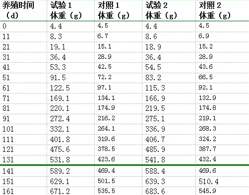 新型杂交鱼-吉奥罗非鱼养殖对比试验