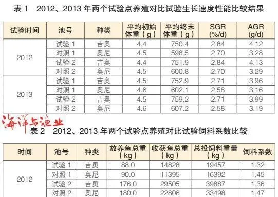 新型杂交鱼-吉奥罗非鱼养殖对比试验