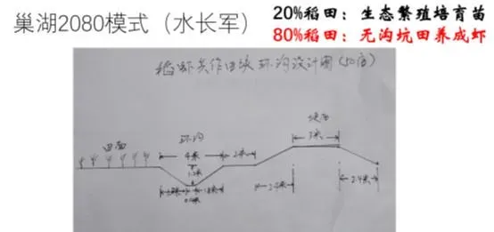 稻虾轮作田间工程的反思：钱要花在机械增氧上，而不是挖沟上！