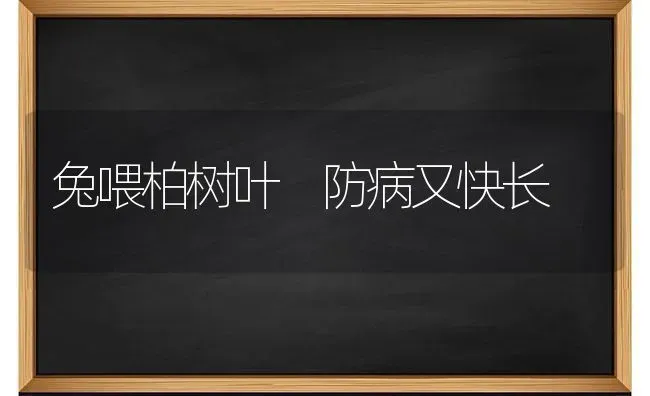 兔喂柏树叶 防病又快长 | 家畜养殖