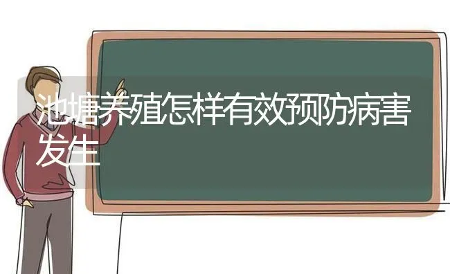 池塘养殖怎样有效预防病害发生 | 动物养殖百科