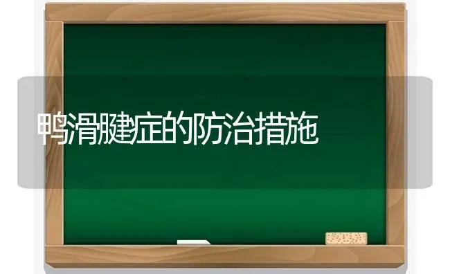 鸭滑腱症的防治措施 | 家禽养殖