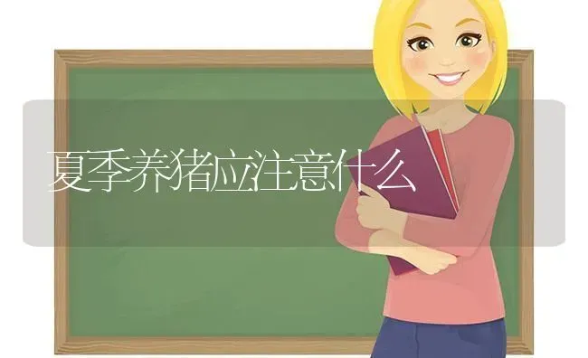 夏季养猪应注意什么 | 家畜养殖