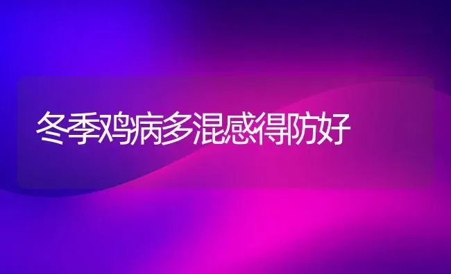 冬季鸡病多混感得防好 | 家禽养殖