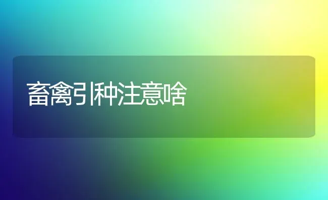 畜禽引种注意啥 | 家禽养殖