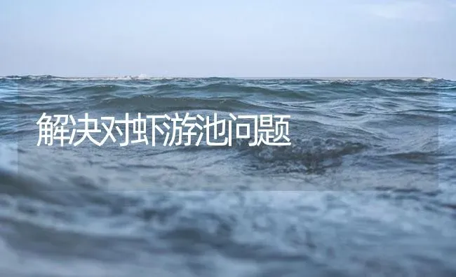 解决对虾游池问题 | 海水养殖