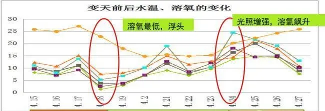 四五月份水产养殖池塘常见六个问题诊断