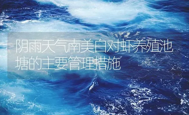 阴雨天气南美白对虾养殖池塘的主要管理措施 | 海水养殖