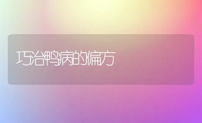 巧治鸭病的偏方 | 家禽养殖